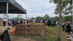 Related article image