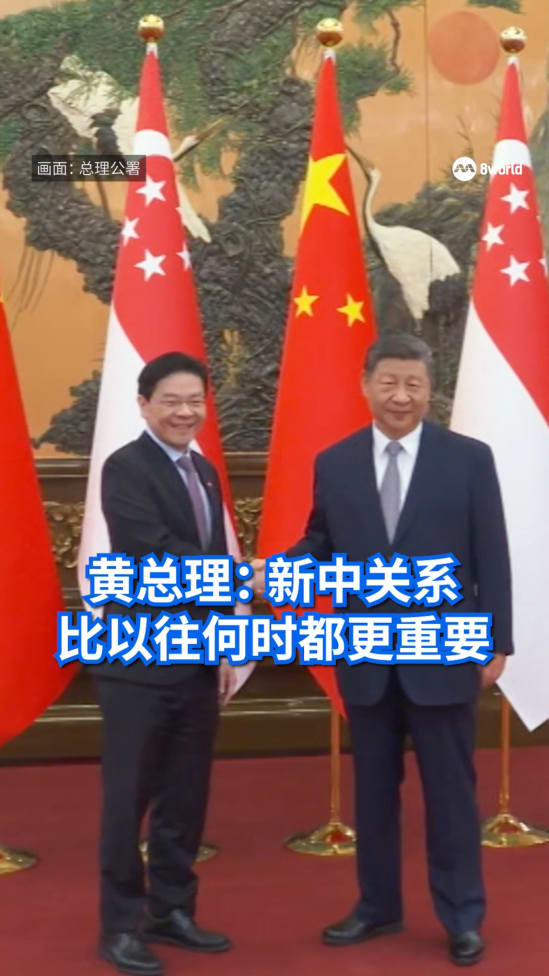 pm wong xi jin ping 