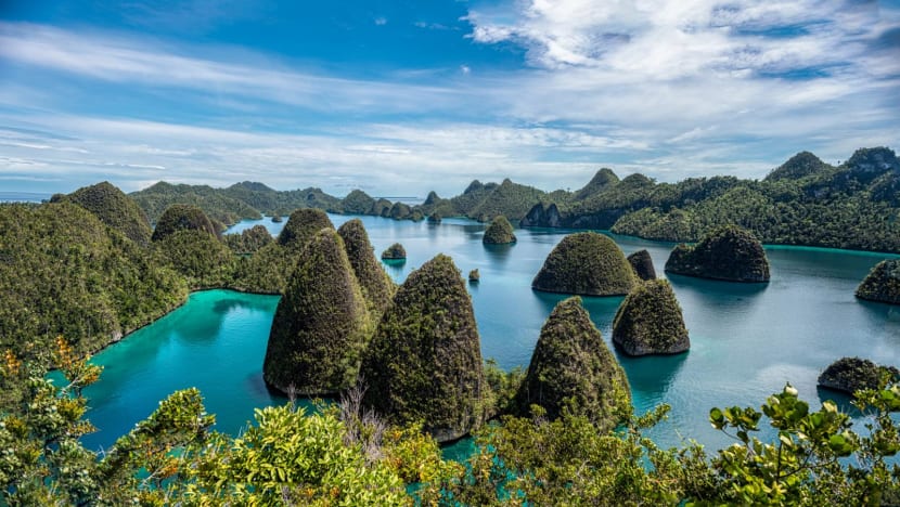 Pemerintah cabut izin empat perusahaan tambang nikel di Raja Ampat Pemerintah cabut izin empat perusahaan tambang nikel di Raja Ampat