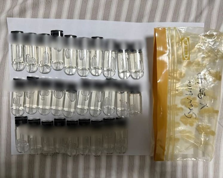 Third teen charged with trafficking of etomidate vape pods