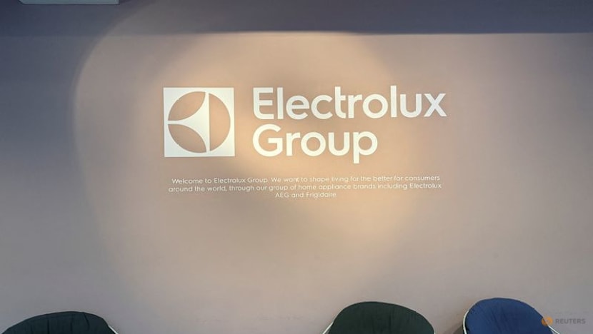 Electrolux's shares fall 24% on US slump, $1 billion rights issue