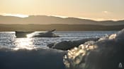 Greenland-30