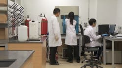 Related article image