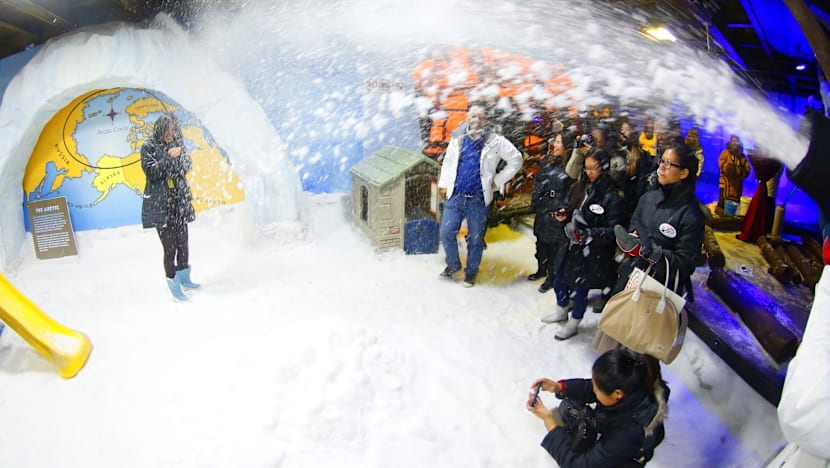 Snow Realastic 'Realistic, fine snow' part of Snow City revamp - CNA