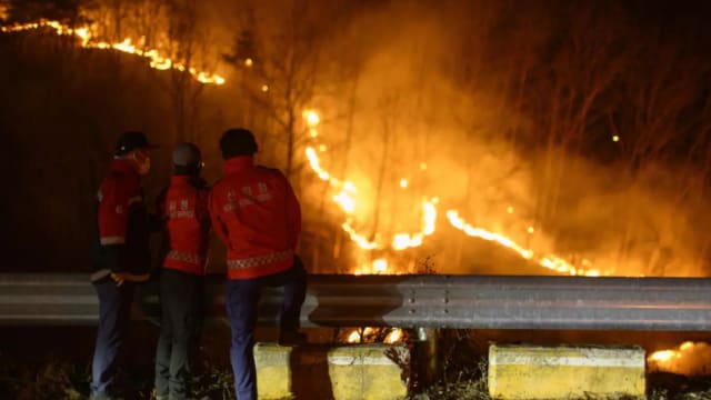 韩国森林大火重新爆发 死亡人数增加到30个