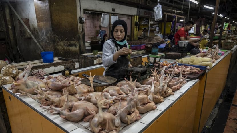 First shipment of chicken products from Indonesia to Singapore to depart on Wednesday: Agriculture ministry First shipment of chicken products from Indonesia to Singapore to depart on Wednesday: Agriculture ministry