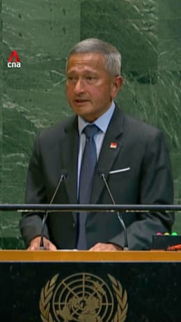 Singapore will reconsider recognition of Palestine if situation deteriorates: Vivian Balakrishnan