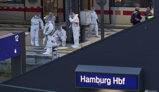 18 injured after stabbing at Hamburg train station in Germany, all in stable condition