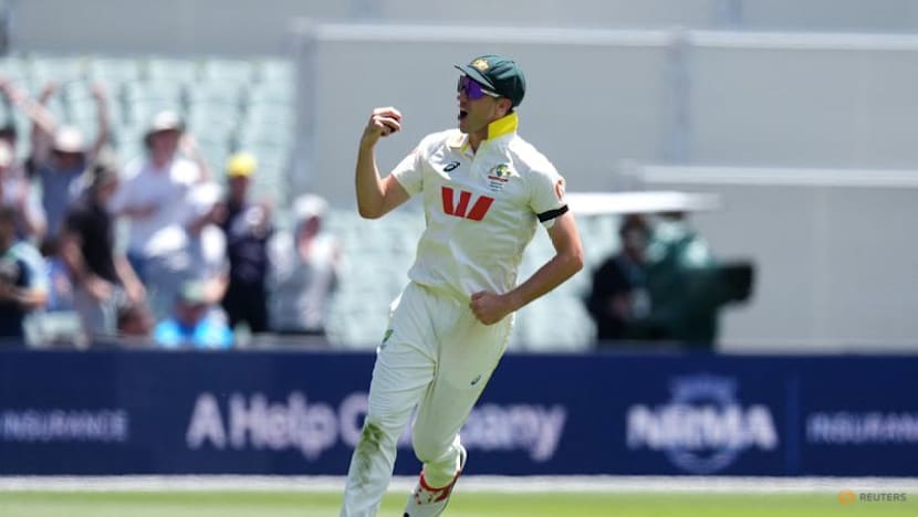 Recovering Cummins, Hazlewood, David in Australia squad for T20 World Cup