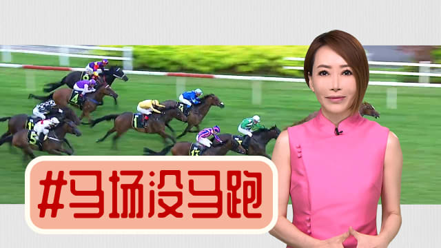 【多懂一点】克兰芝马场马儿走后 猫咪怎么办？