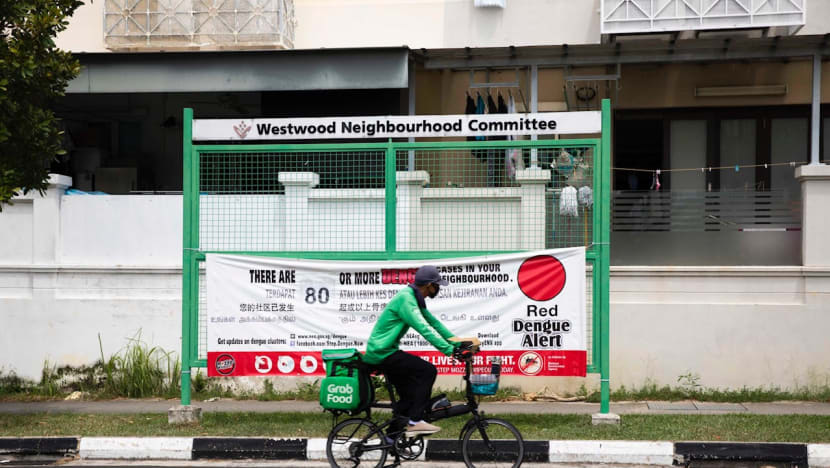 Singapore's dengue cases reach a record 22,403, surpassing 2013 high