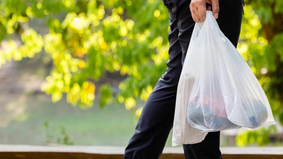 Over S 2.26 million in Sheng Siong FairPrice disposable bag charges given to social environmental causes CNA