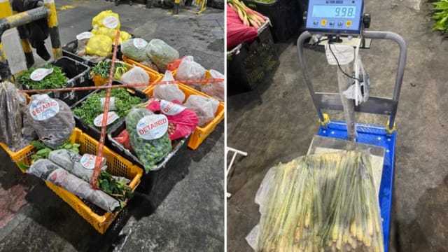 食品局起获从马国非法进口约360公斤蔬菜