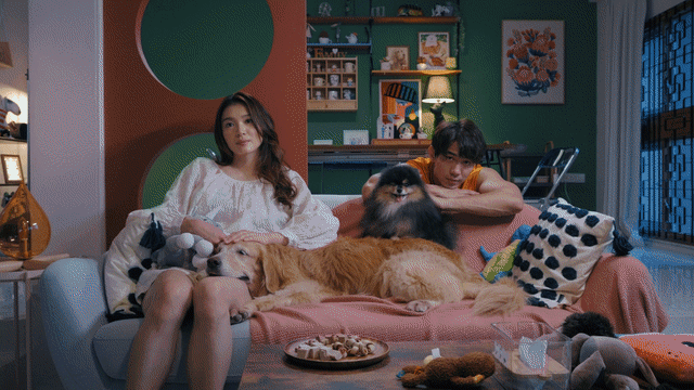 20240628_ent_tvhighlights_01.gif