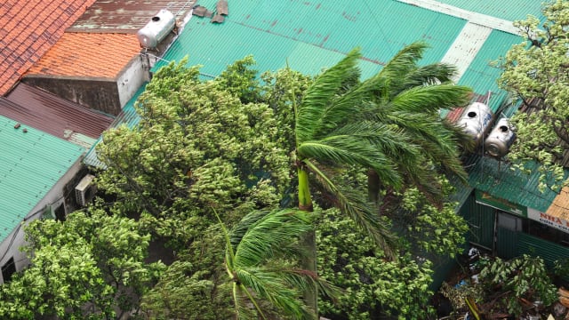 台风剑鱼吹袭越南 强风暴雨造成至少一人死亡