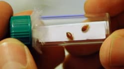 Related article image