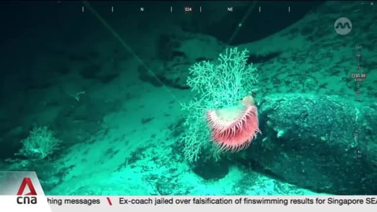 Monsoon Rise Expedition: Exclusive look into early findings from deep sea exploration