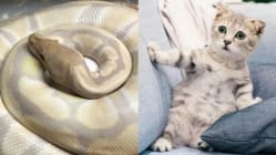 Related article image