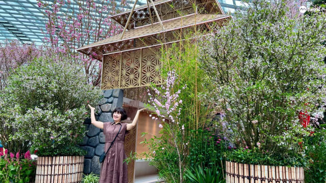 滨海湾花园规模最大樱花展 5.6米高“幻影城堡”为夜樱亮点