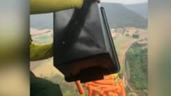 Related article image