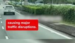 Driver dies in accident involving 2 lorries on Braddell Road