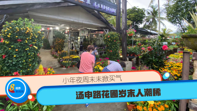 小年夜周末未掀买气 汤申路花圃岁末人潮稀