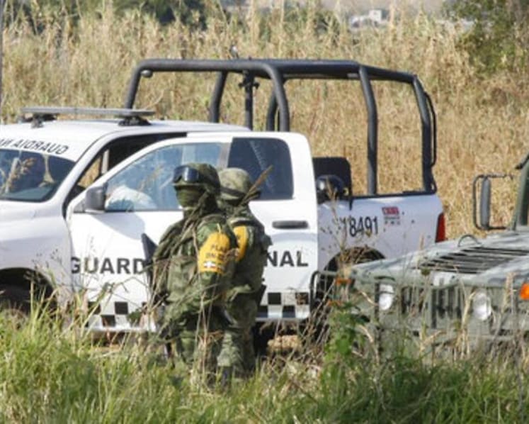 Searchers find 59 bodies in Mexico mass graves, dig for more