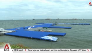World Aquatics Championships: Open water race at Sentosa postponed as E. coli levels exceed limits