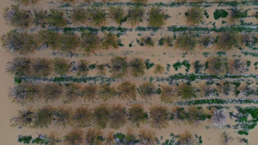 California dilanda banjir dek hujan lebat, salji California dilanda banjir dek hujan lebat, salji