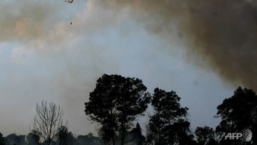 Bomba hadapi kesukaran padam kebakaran hutan 40 hektar