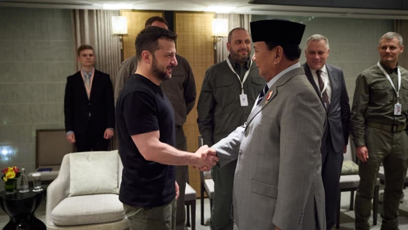 Ukraine's Zelenskyy seeks support for peace summit, meets heads of state in Singapore Ukraine's Zelenskyy seeks support for peace summit, meets heads of state in Singapore