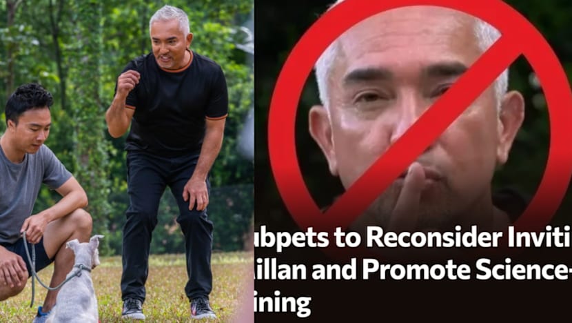 Singapore Pet Owners Petition For Cesar Millan To Be Dropped From Pet Festival Over His Training Methods