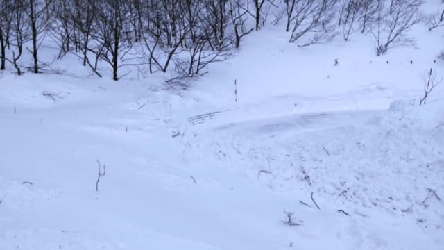 日本福岛郊外温泉区两度雪崩 逾百人被困旅馆