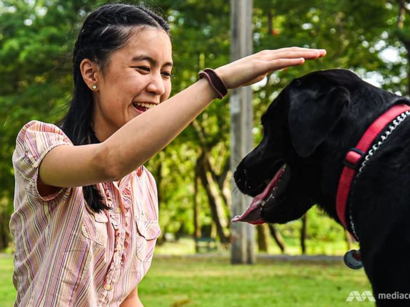 Meet Luther, Thailand&rsquo;s only guide dog, and his brave owner fighting for understanding
