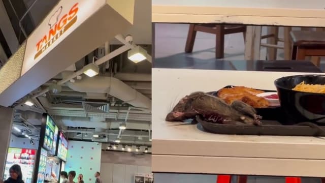 诗家董食阁天花板有鼠患 五食品店卫生欠佳 