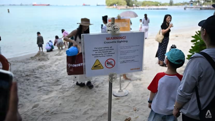 Pengunjung kecewa selepas buaya sebabkan aktiviti air digantung di pantai Sentosa