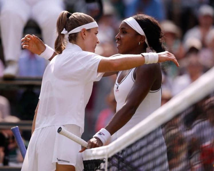 Muchova's heroics sink Gauff to seal all-Czech Wimbledon final with Noskova