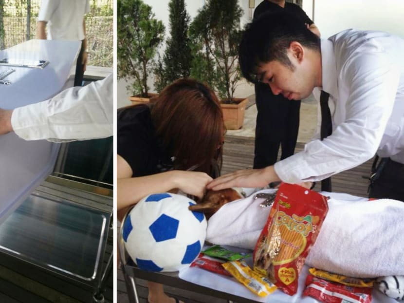 Saying goodbye: Owners go the extra mile for their pet’s final journey