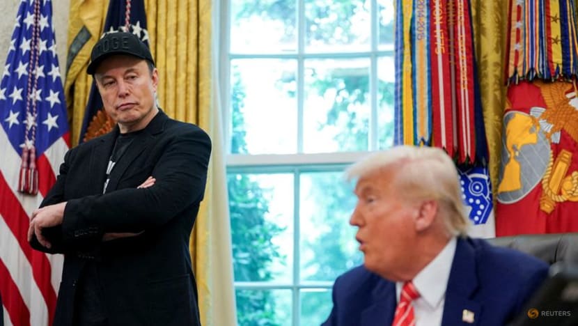 Musk says some of his posts about Trump 'went too far'