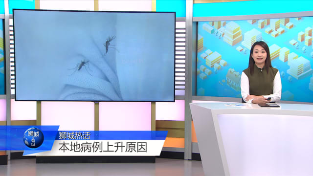 狮城有约 | 基孔肯雅病毒不易突变 感染后有较长期免疫力