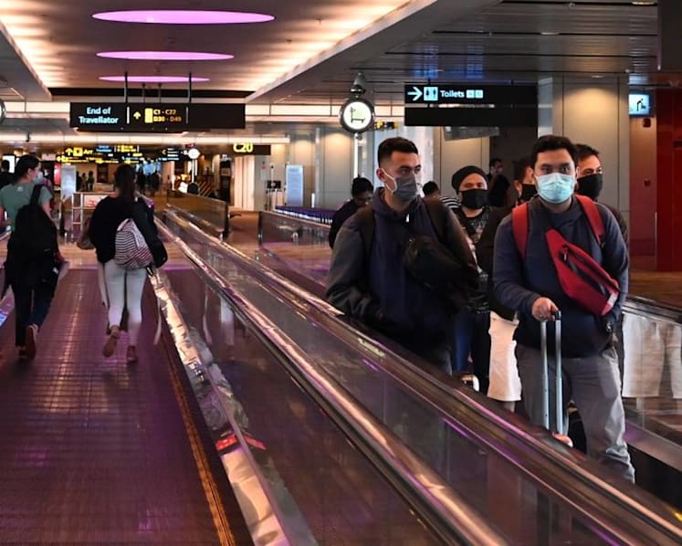 Singapore, Germany agree to set up 'green lane' for essential business and official travel
