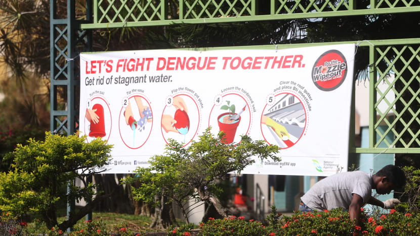 Dengue infections set to soar, may surpass 22,170 cases recorded in 2013: NEA