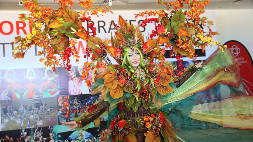 Performers from record 15 countries to take part in Chingay 2015