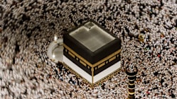 Related article image