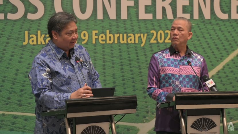 Joint mission by Indonesia, Malaysia to EU in bid to counter ‘discrimination’ against palm oil industry Joint mission by Indonesia, Malaysia to EU in bid to counter ‘discrimination’ against palm oil industry