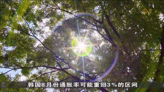 韩国热浪推高菜价 部分蔬菜一个月涨逾一倍