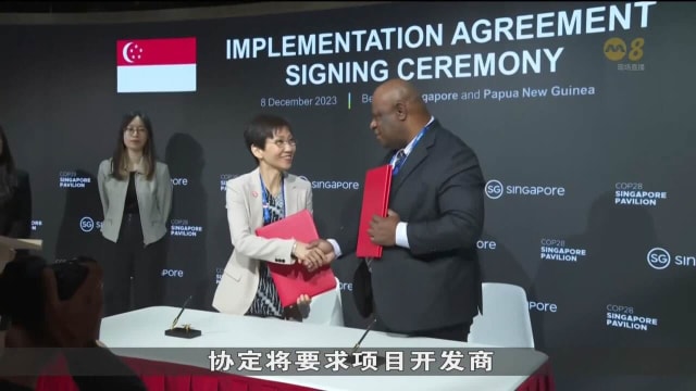 本地公司将可购巴布亚新几内亚碳信用 抵消部分碳税