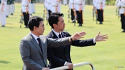 Related article image