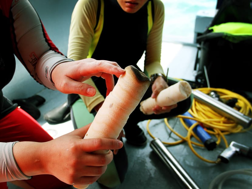 Corals record monsoon patterns, marine chemistry variations