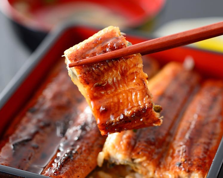 Commentary: Seafood mislabelling keeps diners in murky waters